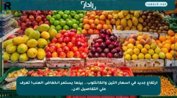 ارتفاع جديد في أسعار التين والكانتلوب.. بينما يستمر انخفاض العنب! تعرف على التفاصيل الآن.